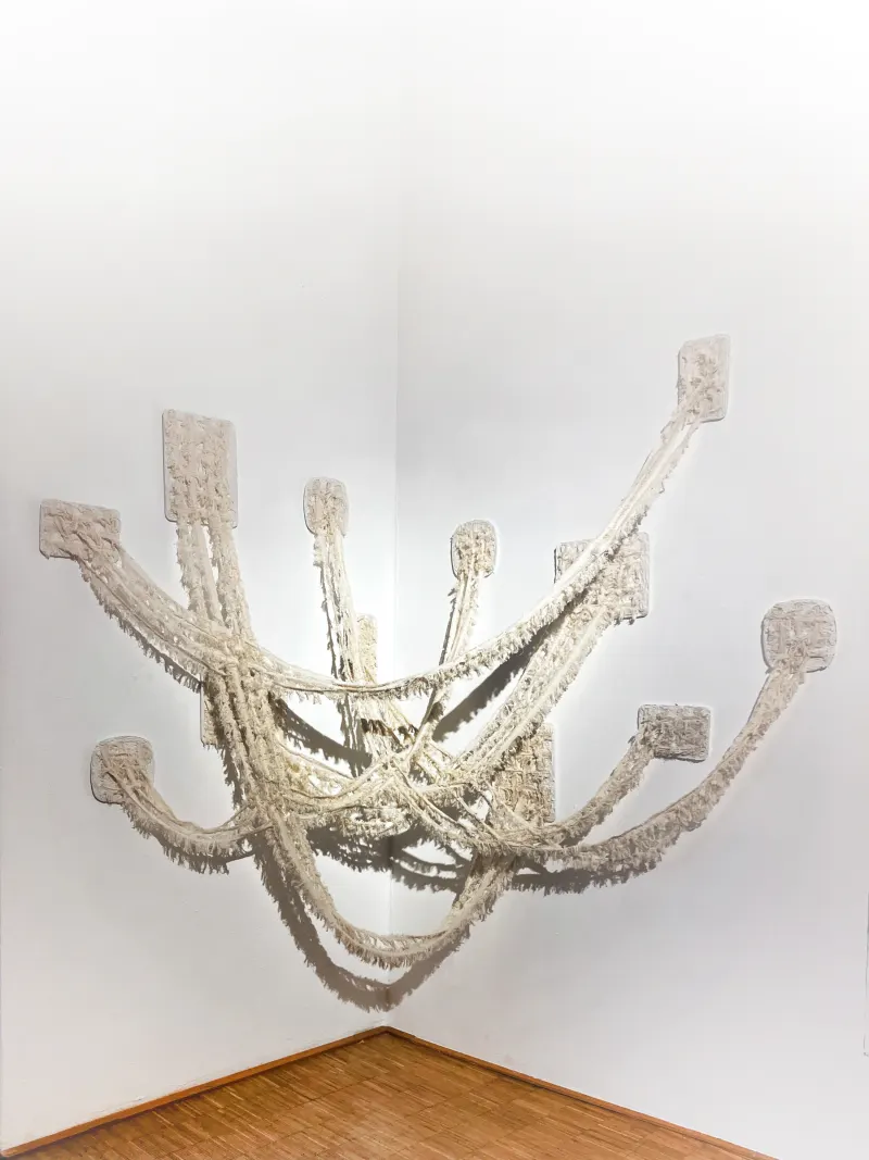 Interwoven Walls